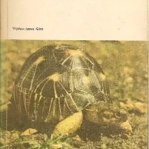 Zwierzęta w terrarium Rabat