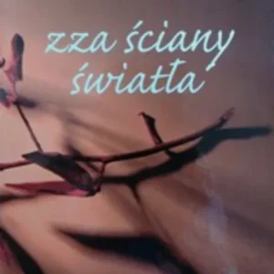 Zza ściany światła /3008/ Super okazja