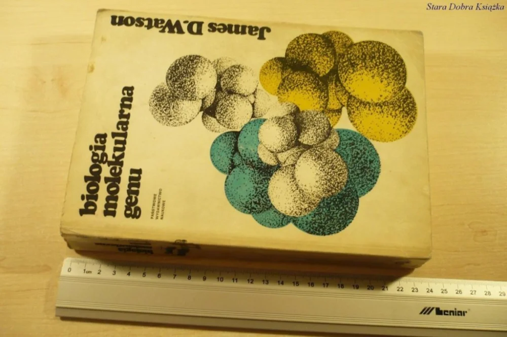 Szybka dostawa BIOLOGIA MOLEKULARNA GENU (1975)