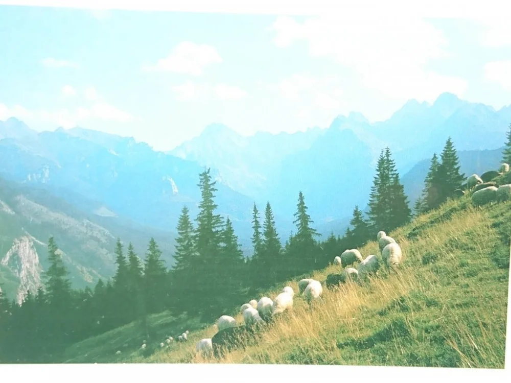 PANORAMA TATR WYSOKICH Z RUSINOWEJ POLANY Niska cena
