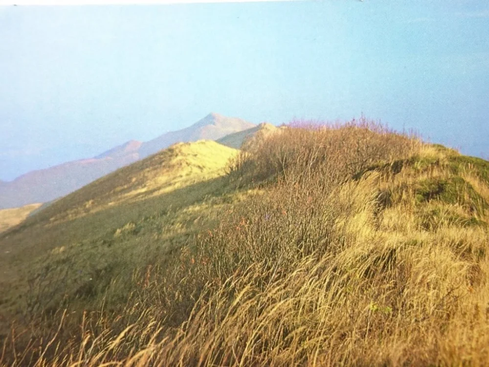 BIESZCZADY. KRAJOBRAZ POŁONINY WETLIŃSKIEJ Łatwy zwrot