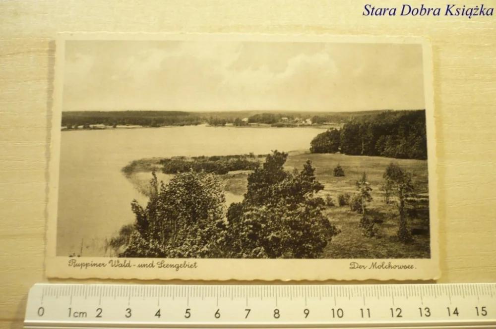 Ekspresowa dostawa RUPPINER WALD - UND SEENGEBIET. DER MOLCHOWSEE