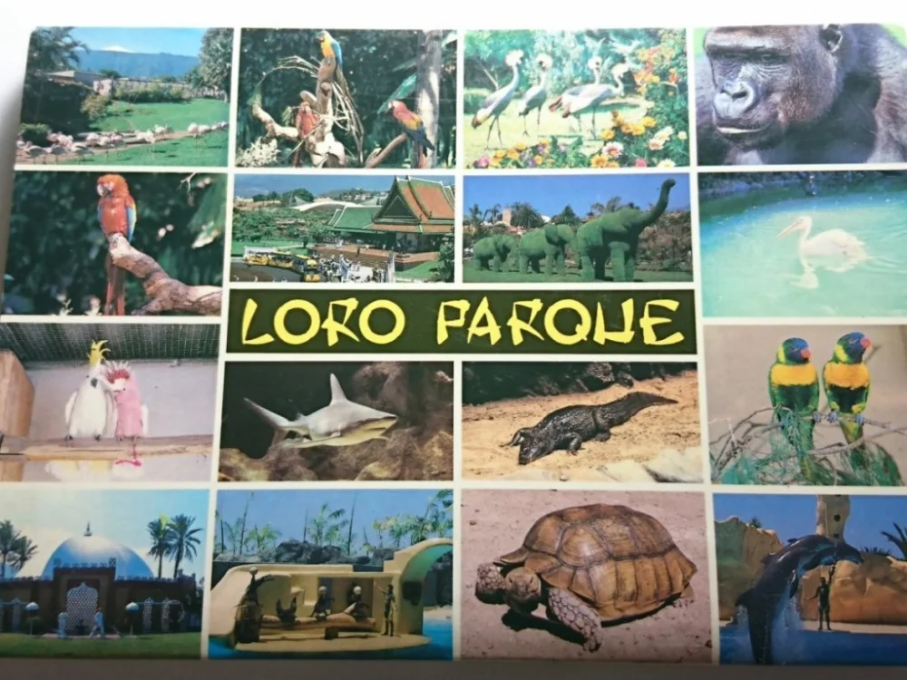 TENERIFE. 12 POCZTÓWEK W HARMONIJCE Obniżka ceny