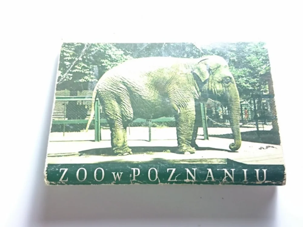 ZOO W POZNANIU. 13 MINI WIDOKÓWEK W HARMONIJCE Łatwy zwrot