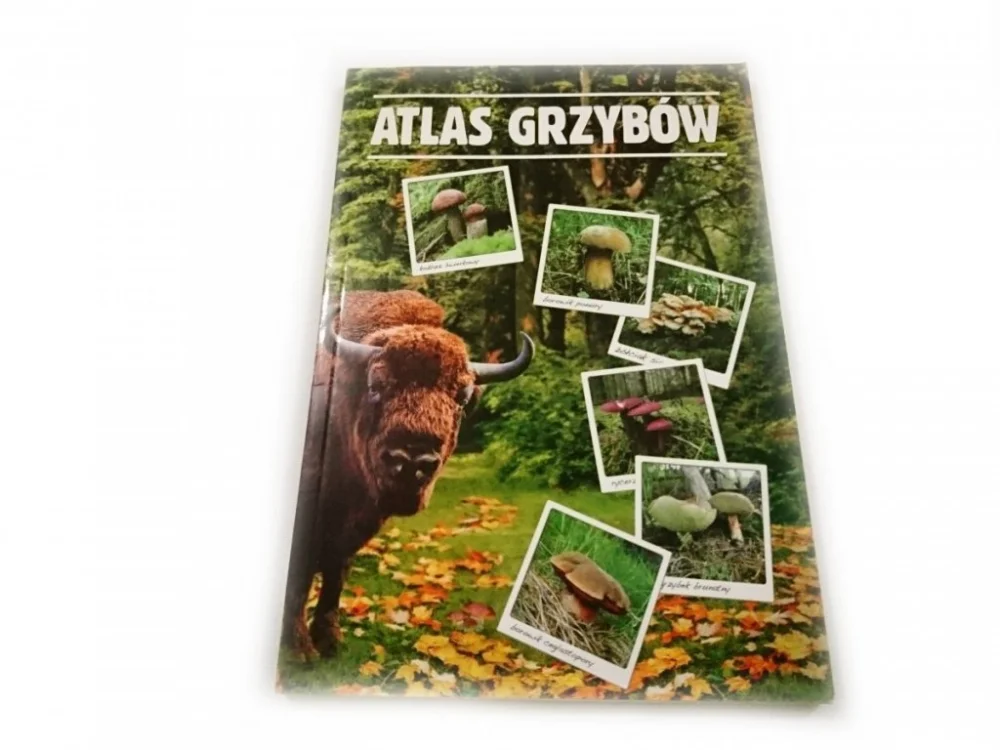 Popularny ATLAS GRZYBÓW - Wiesław Kamiński 2010