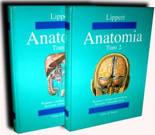 Nie przegap Anatomia