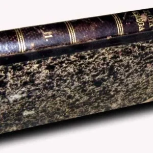 ŻYCHLIŃSKI- ZŁOTA KSIĘGA SZLACHTY POLSKIEJ rocznik XI wyd. 1889r. Oferta czasowa