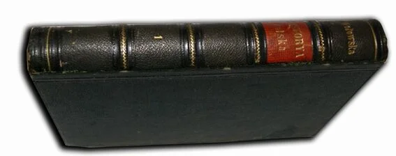 WOŁOWSKA- HISTORYA POLSKA t.1 Paryż w Drukarni Martinet 1860r. Okazja