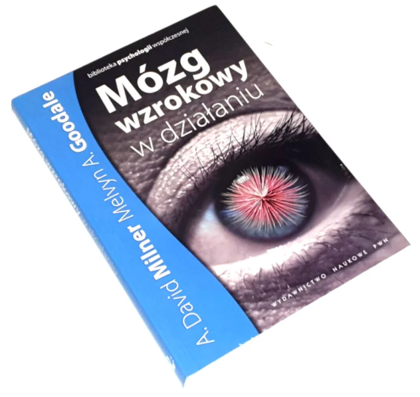 Wysoka jakość MILNER - MÓZG WZROKOWY W DZIAŁANIU